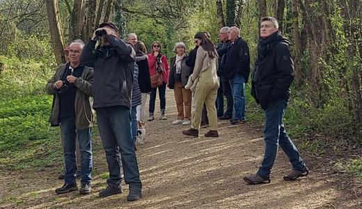 Référent·es et correspondant·es LPO Poitou-Charentes en sortie nature à l'arboretum du chemin de la découverte à Melle, le groupe avance sur le chemin de terre entouré d'arbre